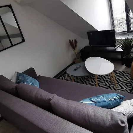 Apartmán Cosy, 300m De La *