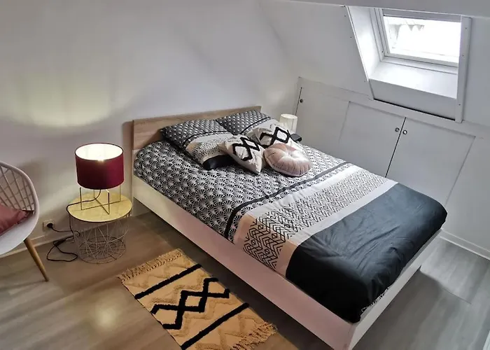 Apartment Cosy, 300m De La